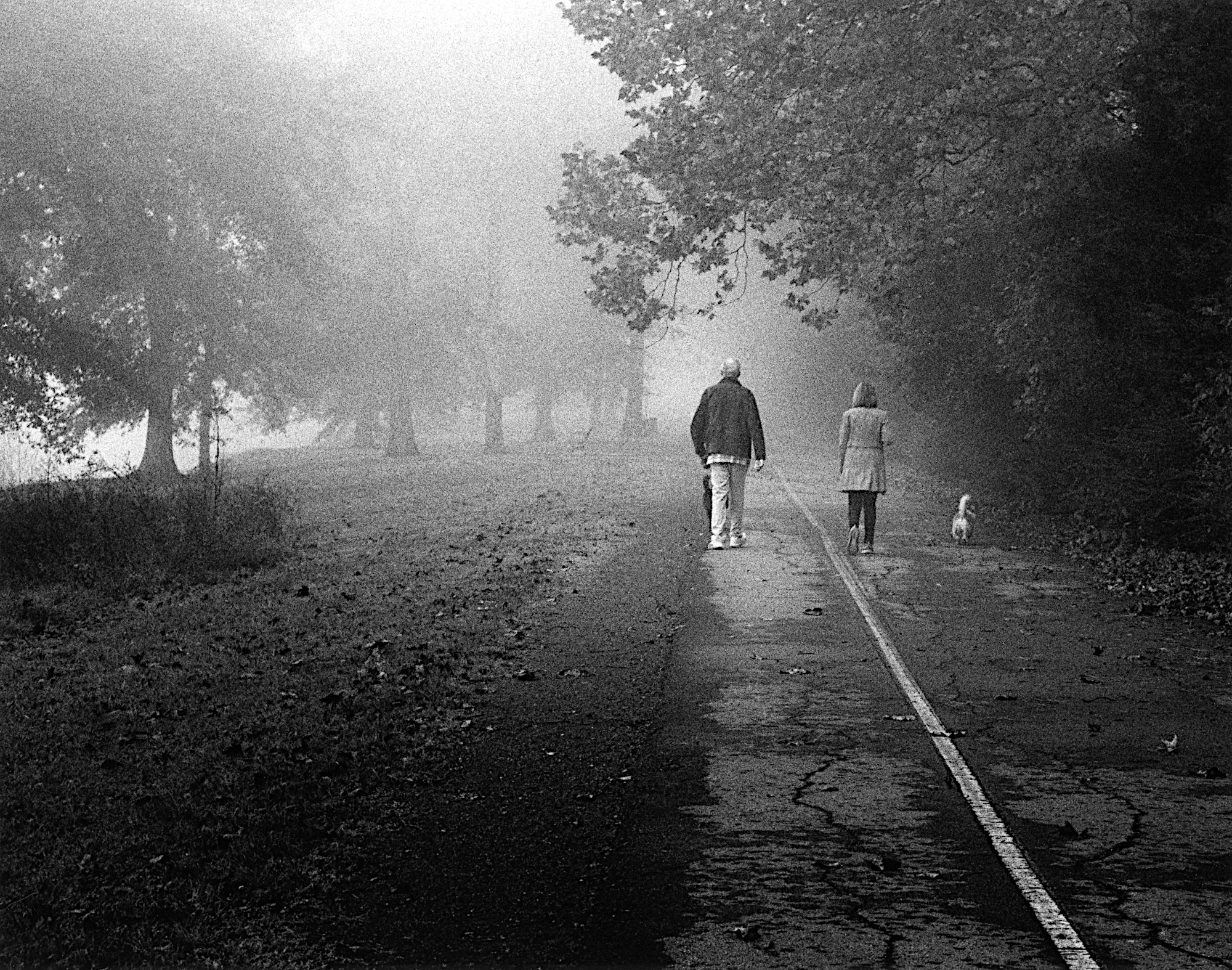 Fog at Ditto Landing, Couple walking dog, F6 with 24-120mm, TMax 400 at EI 400 developed in TMax 1:4