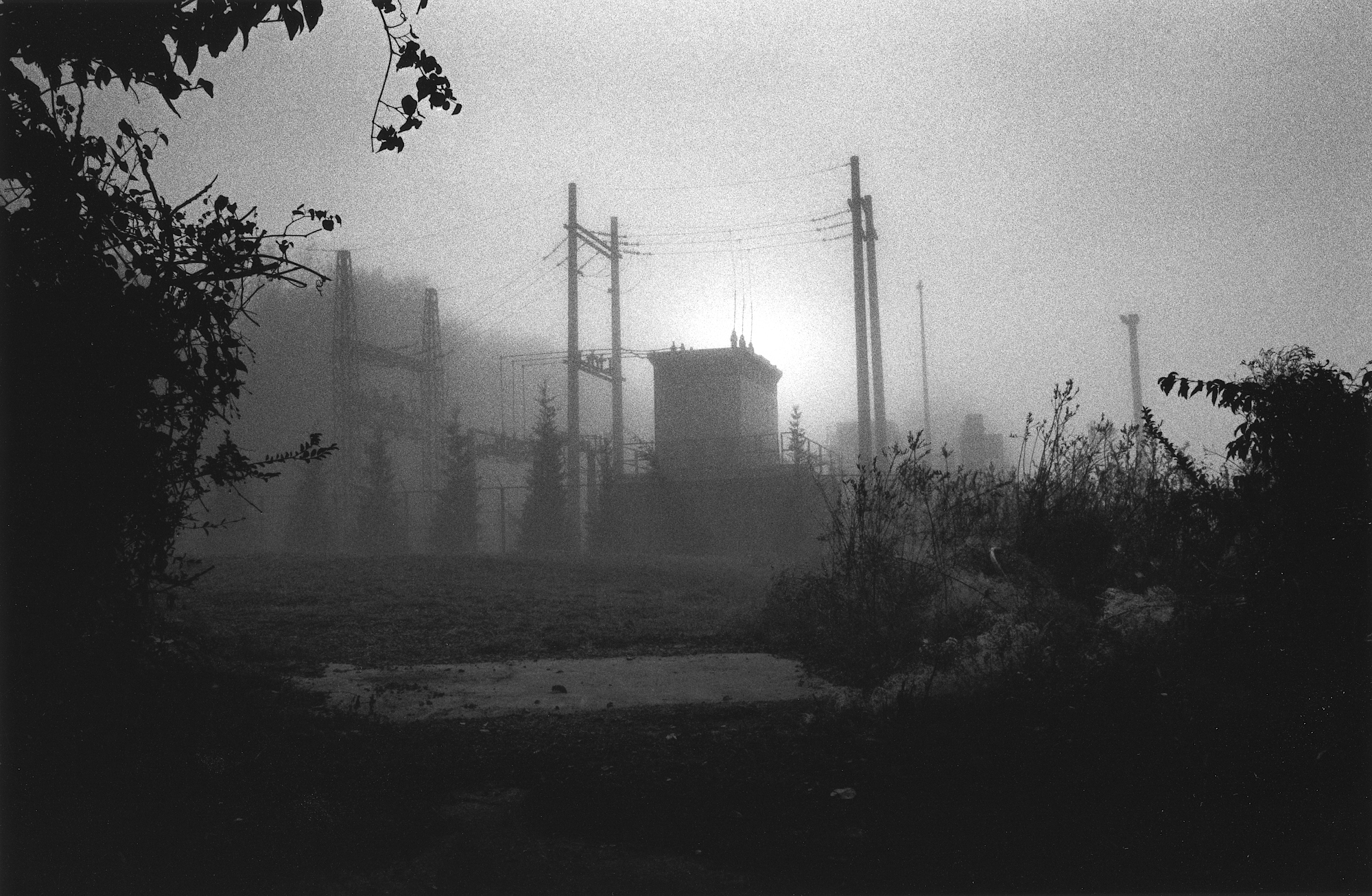 Utilities Plant in Fog on Tennessee River Greenway, Nikon, F6, 24-120mm F4 VR, TMax 400, Film, TMax 1:4