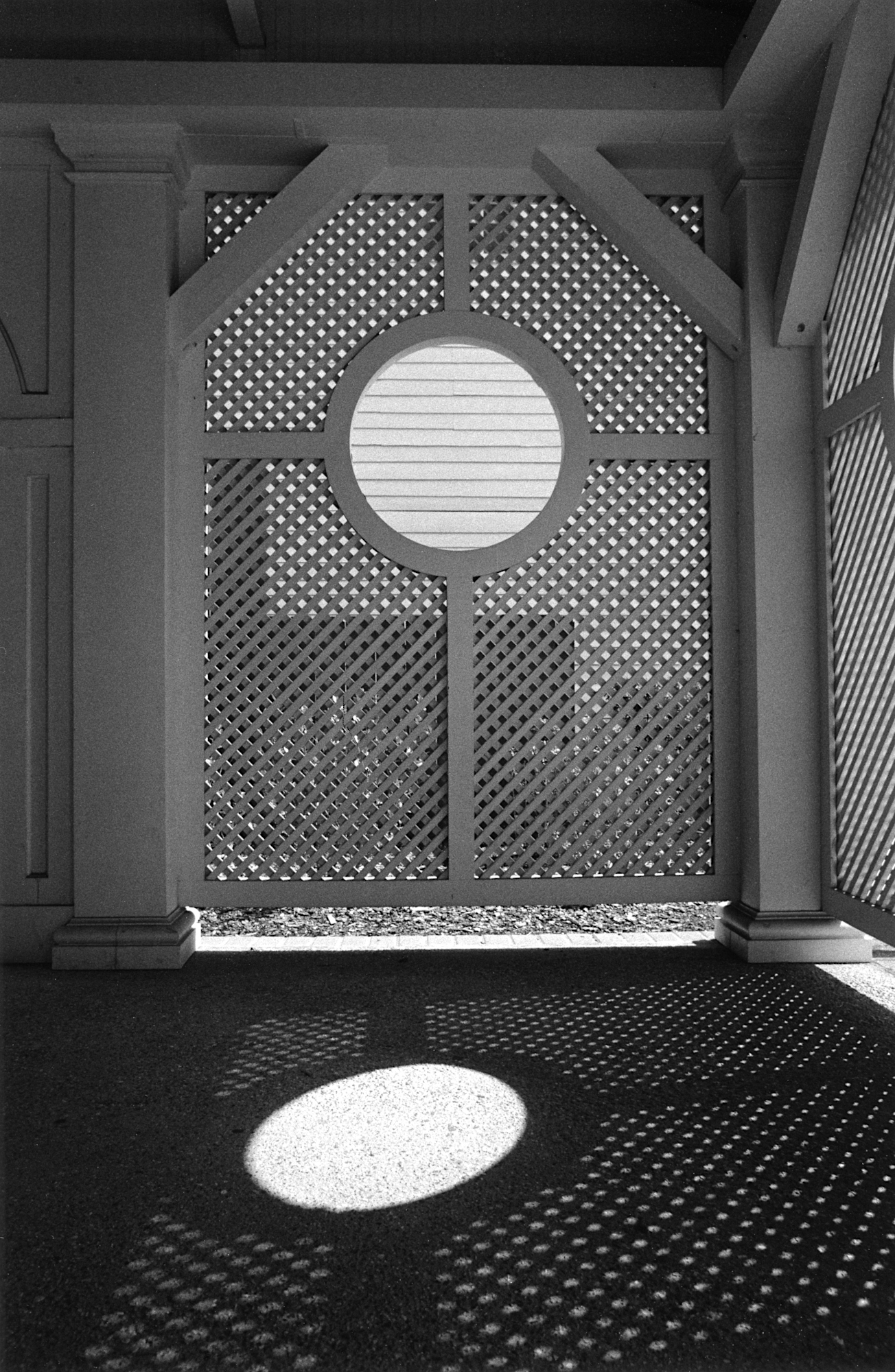 Constitution Hall Park, Nikon f6 with 24-120mm lens, 1/350 at F8, Delta 400 in DD-X 1:7