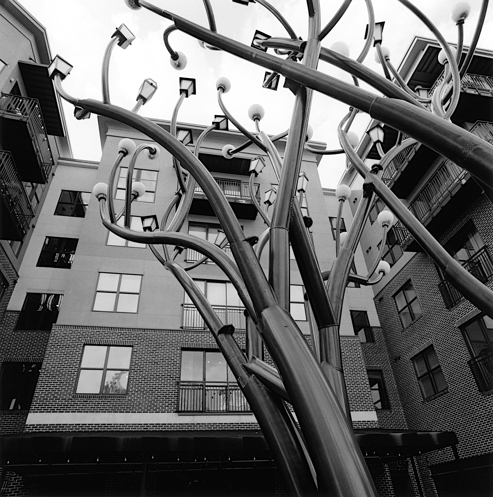 Scupture, Apartment Bldg, Hasselblad 501CM and 40mm CF, Delta 400, Ilfosol 3 1:14