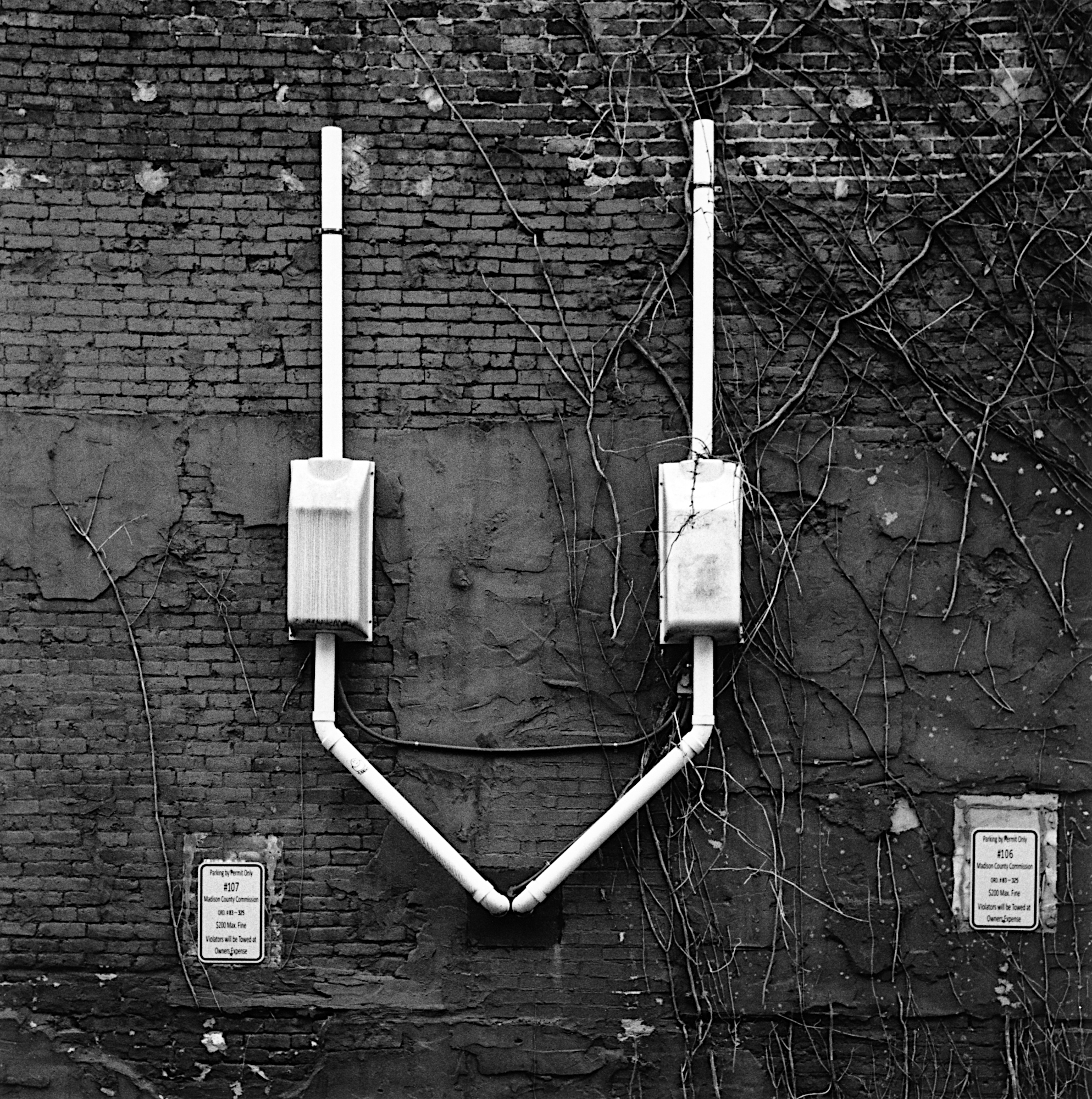 Pipes and Vines, Nikon F6, 24-120mm, TMax 400 at EI400, DD-X 1:7