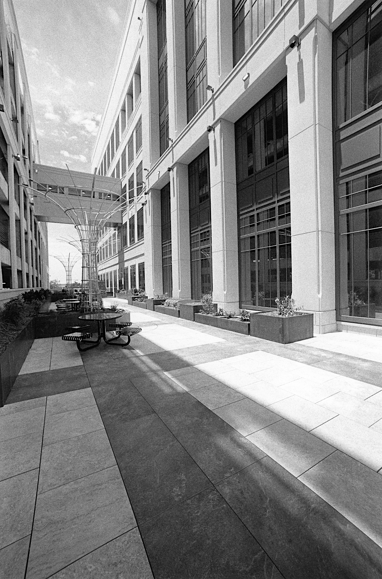 HSV City Hall, Nikon F6, 14mm AF Nikkor, 1/90 at f8, HP5+, Rodinal 1:50