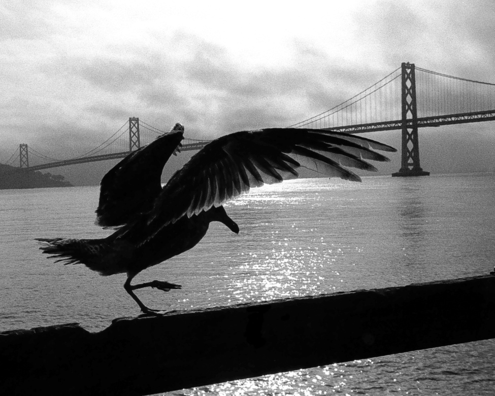 San Francisco 1992